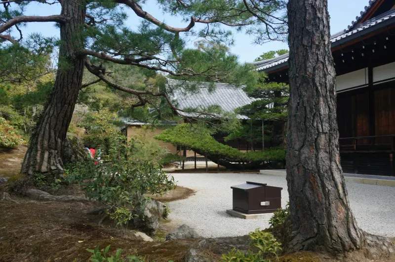 翠景盆栽スタジオ 2